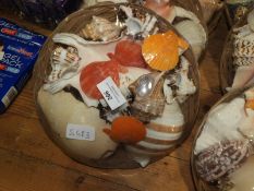 *Collection of Seashells in Basket