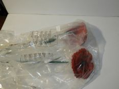 *Decorative Garden Poppies