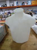 *Male Shop Display Torso