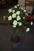 *Flowering Rose Tree in a Pot