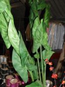 *Six Artificial Foliages in Pots