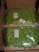 *Six Cards of Green Knitted Braid Edging