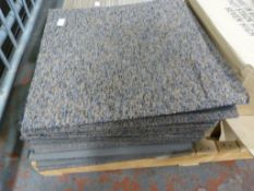 Forty Eight Blue/Brown Carpet Tiles