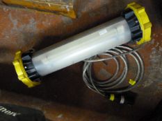 Wolf Fluorescent LL500 Leadlamp