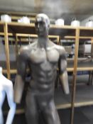 *Male Mannequin