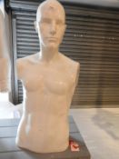 *Male Mannequin Torso (No Arms)