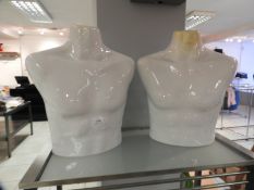 *Two Male Mannequin Torsos