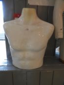 *Male Mannequin Torso