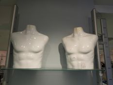 *Two Male Mannequin Torsos