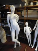 *Female Mannequin (Complete)