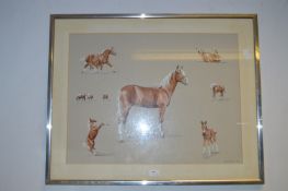 Framed Original Horse Study by Antony Rhodes
