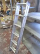 Twelve Tread Extending Ladder