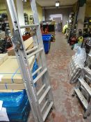 Three Way Domestic Combination Ladder