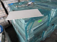 *Pallet Containing 20 Packs of Six Marca Corona 