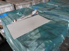 *Pallet Containing 20 Packs of Six Marca Corona 