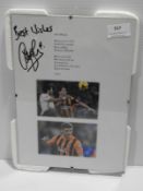 *Framed & Signed Tribute to Alex Bruce