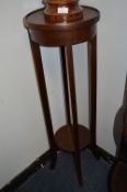 Edwardian Mahogany Plant Stand