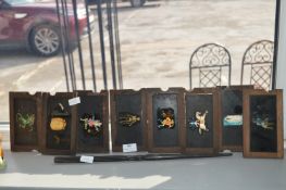 Eight Magic Lantern Slides