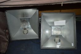 Two Large Square Photography Lamps