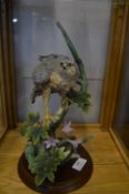Country Artists Figure of a Sparrow Hawk