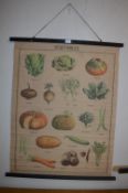 Canvas Wall Hanging of Vegetables