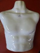 *Adult Male Mannequin Torso