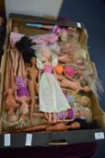 Collection of Barbie and Simba Dolls