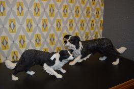 Pair of Collie Dogs