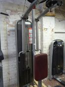 *Pec Fly & Rear Delt Exercise Machine