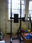 Tramps OP Dip & Pull Up Machine