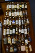 Miniature Whisky Bottles - Approx 50