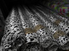 *Black & White Dalmation Style Satin Fabric