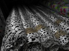 *Black & White Dalmation Style Satin Fabric