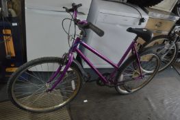 Girls Purple Bicycle