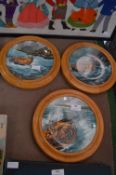 Three Kevin Plat Wood Framed Ceramic RNLI Wall Lig