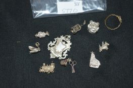 925 Sterling Silver Charms, Medallion, etc.