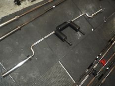 Standing Olympic Squat Bar