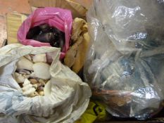 Box of Gloves, Seashells and Valves