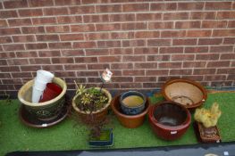Garden Planters Including Bonsai and Cacti