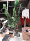 *Artificial Plant in Planter