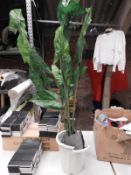 *Artificial Plant in Planter