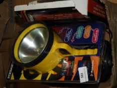 *Mixed Box of Assorted Torches and a Radio
