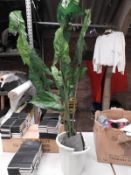 *Artificial Plant in Planter