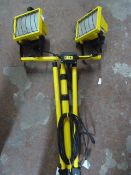 Pair of Site Lamps on Tripod Stand