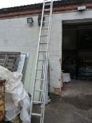 Youngman Mercury 30 Tread Extending Ladder