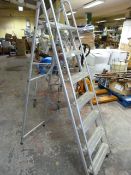 Set of Aluminium Steps