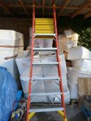 Set of Werner Folding Decorating Steps 300lb Load