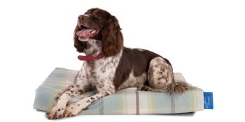 *Silentnight Supreme Dog Bed (Duck Egg Blue) Size: