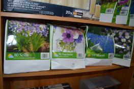 *Springtime Bulb Assortment 4pk