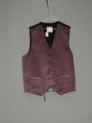 *Size: M Purple Waistcoat by Dessy Group